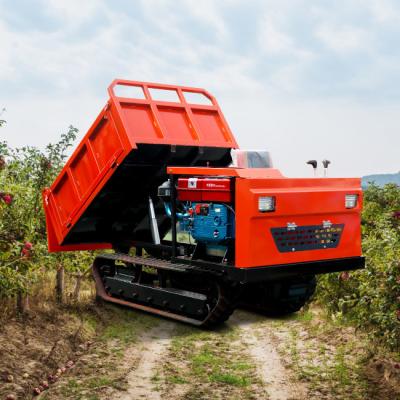 China Factory Directly 2-10 Tons Crawler Dumper Truck Mini CE Hydraulic Diesel Construction Machine for sale