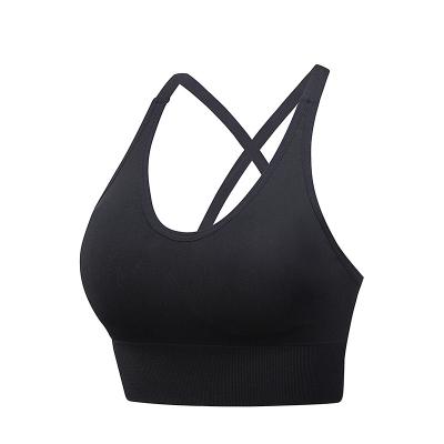 China Factory QUICK DRY plus size tube top underwire sports bra vest type shock proof fitness yoga sports bra vest underwear breathable for sale