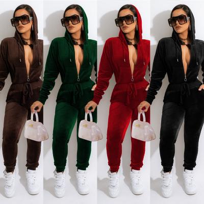 China Other summer new simple fashion casual sports long sleeve velvetVCollar pants suit for sale