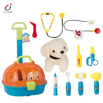 China Children Pretend To Play Medical Tools Play Dog Cage Toy Veterinarian Pet Care Role Play Set Cute Animal Doctor Kit For Children CJ-2128880 for sale