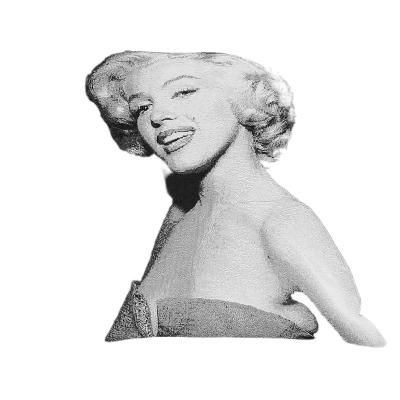 China The Other New Marilyn Monroe Throw Pillow Case Decorative for sale