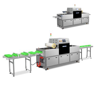 China Horizontal Packaging Machine Chicken Vacuum Packing Machine For Sea Food for sale