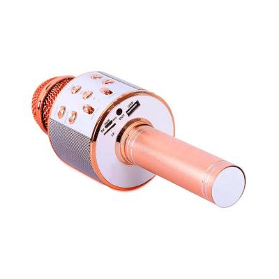 China Portable Handheld Player Handheld Karaoke Microphone Kids Wireless Microphone for Party Music Singing Home Game with Speaker Microphone for sale