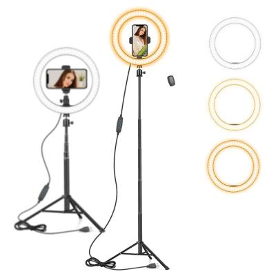 China 10 inch Live Stream Video Remote LED Selfie Filling Ring Light Phone Photographic Led Selfie Ring Light With Tripod Stand SRL-R2 for sale