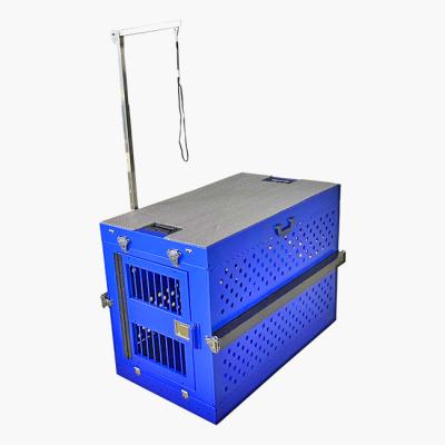 China Viable Collapsible Dog Crate Puppy Pet Kennel Boxes Large 40 Inch Colorful Blue Protable X Aluminum Crates For Dogs Stainless Steel for sale