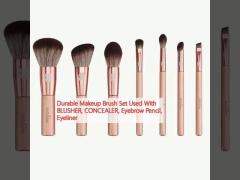 Durable Makeup Brush Set Used With BLUSHER, CONCEALER, Eyebrow Pencil, Eyeliner