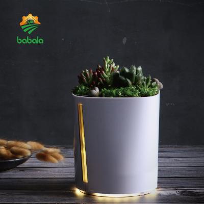 China Wholesale Solar Metal and Plastic LED Flower Pot Gift Panel for sale