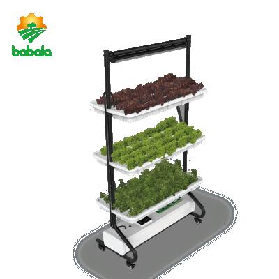 China Agriculture Top Best Selling Hydroponic Planting Smart Vertical Garden for sale