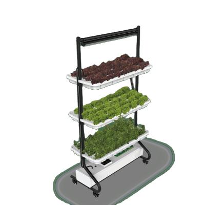 China New Agriculture Sale Hydroponic Planting Smart Vertical Garden for sale