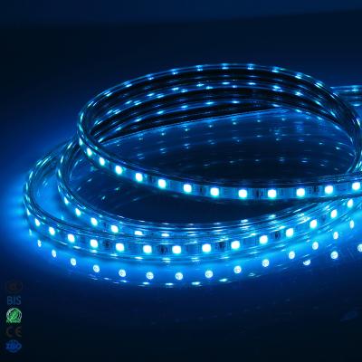 China 220v LANDSCAPE color changing waterproof flexible led strips for decoration 5050 rgb led strip light for sale