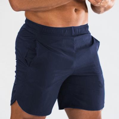 China Anti-Wrinkle Wholesales 7 Inch Spandex Workout Shorts Mesh Fitness Mens Gym Shorts With Pocket for sale