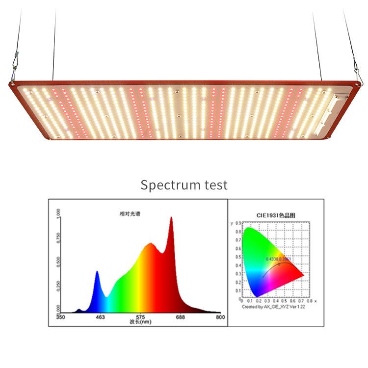 Verified China supplier - Shenzhen Indexgrow Lighting Co., Ltd.