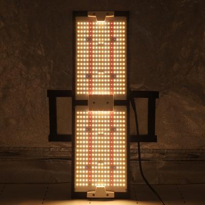 China Seed Starting Board IndexGrow 240W LM281B 660nm IR UV LED 2022 Mix To Grow Light For 2*4ft Grow Indoor Area Plants for sale