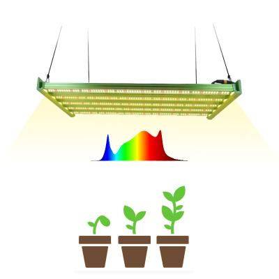 China Seed Starting XP 320W 5 Bars DIY Grow Lighting Kits LM301H With 660nm Deep Red LED Plant To Grow Light Bar kingbrite for sale