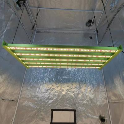 China Seed starting drop shipping! Newest King Brite XP 320W 5 Bars LM301H With IR UV KingBright LED Grow Light By KingBrite LED Lighting for sale