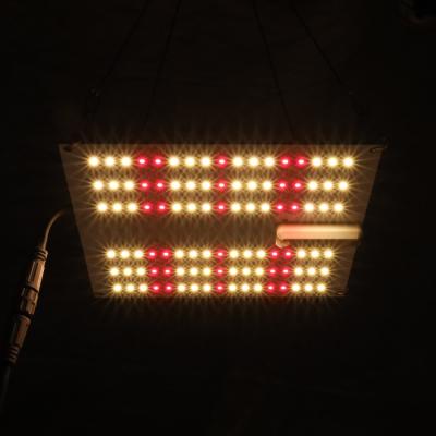 China Seed Starting KingBrite 35W QB102 LED Panel Grow Lamp lm301h Epistar 660nm Mix For Small Grow Box for sale