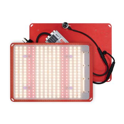 China Seed Starting LM301H 120W, Replace To Grow SF1000 For Led Grow Light With LM301H LED for sale