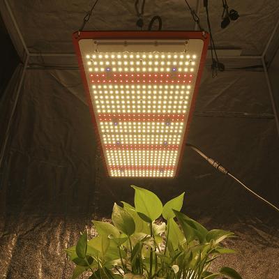 China Seed Starting SF2000 240W Panel , LM301H QB288 Light For Indoor 4X4 Grow Area for sale