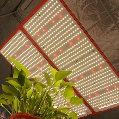 China Dimming Button 480W Spider SF4000 LED Grow Light LM301b lm301h mix cree 660nm led boards for indoor plants for sale