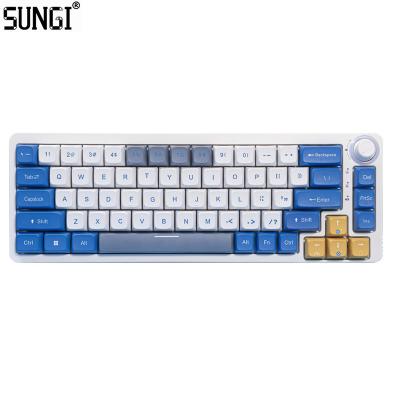 中国 ABS Plastic Mechanical Keyboard 3 Keys RGB Backlight Gaming Keyboard 3 Mode Real Wired BT 60% Wireless Mechanical Keyboard 販売のため