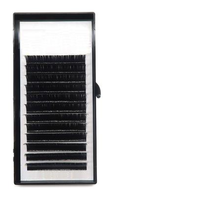 China Natural Soft Volume Lash Extensions Eyelashes Extensions Matte Lash Extensions Wholesale flat for sale