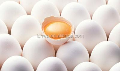 China Food Addtive Dried Whole Egg Powder Suppliers for sale