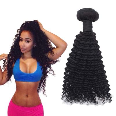 China TD High Grade Curly Hair Curly Grade Unprocessed Virgin Malaysian Hair Unprocessed Malaysian Hair Free Shedding Curly for sale