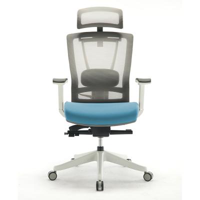 China Executive Ergonomic High Back Mesh Office Chairs (Height) Adjustable Custom Logo 4D Armrest for sale