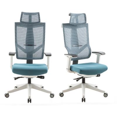 China (Height) Lumbar Support Swivel Adjustable Ergonomic Manager Mesh Office Chair for sale