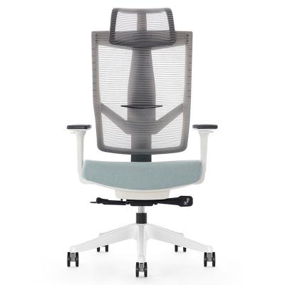 China (Height)Adjustable High End Ergonomic Computer Desk Office Executive Mesh Chair for sale