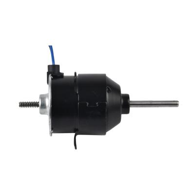 China DL 12v 24v Waterproof High Quality Solar Motor 80w 3000rpm DC Motor for sale