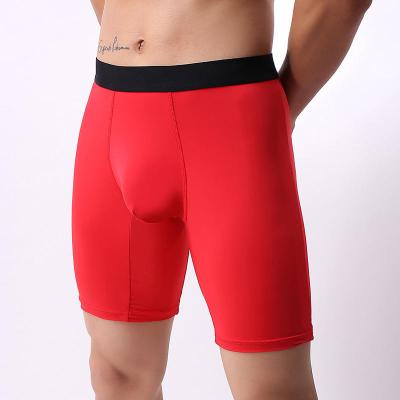 China Custom Logo Design Service Men OEM Cotton Men Underwear High Quality Boxers Breathable Briefs Shorts Long Sports Boxers for sale