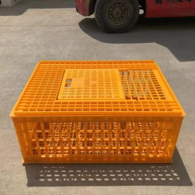 China Cultivate 2 Years Warranty 54cm*74cm*19cm Dove&Bird Transport Plastic Crates For Live Poultry for sale