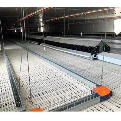 China Farms 1,200mm*500mm*40mm Plastic Slat For Poultry Broiler Farming House Corrosion Resistance PP Slat Easy Cleaning Floor for sale