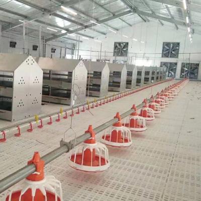 China Farms Poultry Floor Farming House 1,200mm*500mm*40mm Grid 16*16mm Corrosion Resistant Plastic Slat Flooring for sale