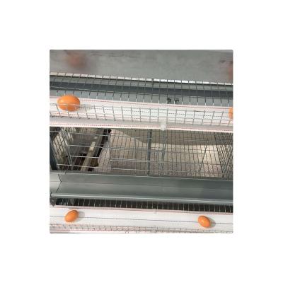 China Farms high quality and best price conveyor egg pp woven belt for good price on chicken cage for sale