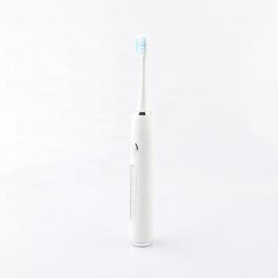 China DianYi Electric Toothbrush Battery Operated Adult Rechargeable Soft Toothbrush Ultrasonic Automatic Toothbrush for sale