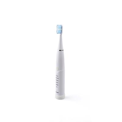 China Home Use+office+travel Private Label Dental Care Sonic Rechargeable Electric Toothbrush Wholesale Whitening Toothbrush for sale