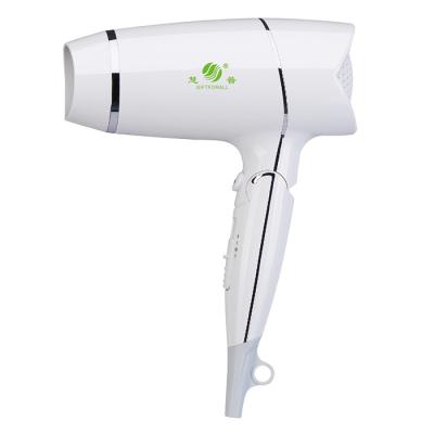 China 2019 Factory Direct Beautiful 1800W Hair Dryer Travel Foldable Hair Dryer Foldable, China Hot Selling for sale