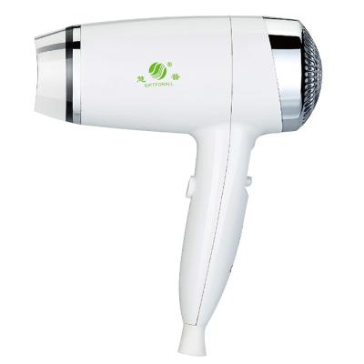 China Other Giftforall 1800W High Power Dry Hair Quickly and Keep Hairdryer Shiny for sale