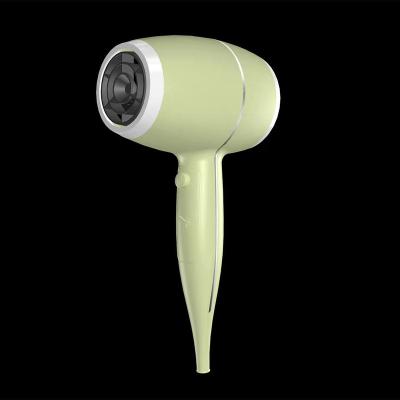 China Other Powerful FROG HAIR DRYER 220-240V 1800W Dry Hair Fast And Keep Shiny for sale