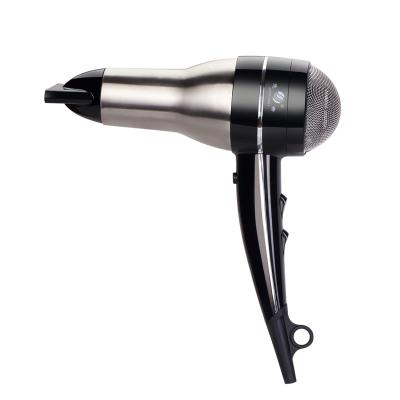 China Other professional giftforall 1600W Electric SS304 Hair Dryer, AC Motor for sale