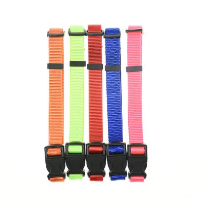 China Personalized Large Adjustable Buckle Dog Collar For Dogs For Pet Walking Training Tool for sale