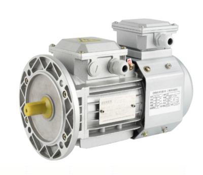 China High quality hotels ZENEN low rpm motors/ac brake asynchronous induction motor with good price for sale