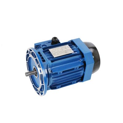 China 5 Hp Power Input Motor YS Series Single Phase Waterproof Hot Selling Electric Motor for sale