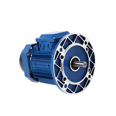 China Y2series Waterproof Hot Selling Three Phase Asynchronous Motor for sale