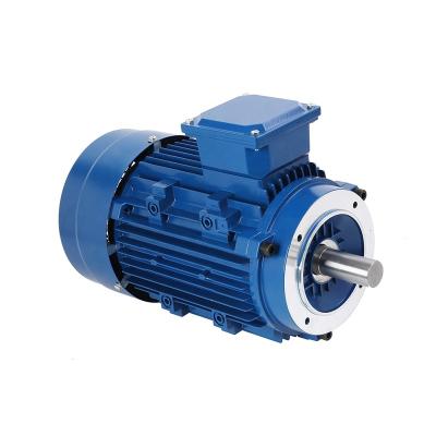 China YS/Y2 Series Modern Aluminum Shell Three Phase Asynchronous Motor for sale