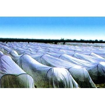 China Garden, Agricultural Row Plant Frost Protection PP Spunbond Non Woven Fabric (10 - 200gsm) for sale