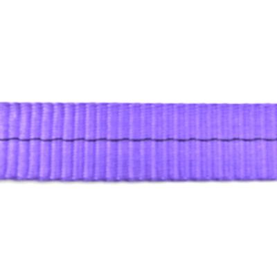 China Factory direct sales polyester webbing sling sling Eu standard polyester high tenacity 1t purple webbing lifting webbing for sale