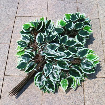 China 12pcs Touch Flower Silk Banyan Tree Leaves Natural Artificial Decorative Plastic Simulation Tree Branches Leaves Ginkgo Biloba Wedding for sale